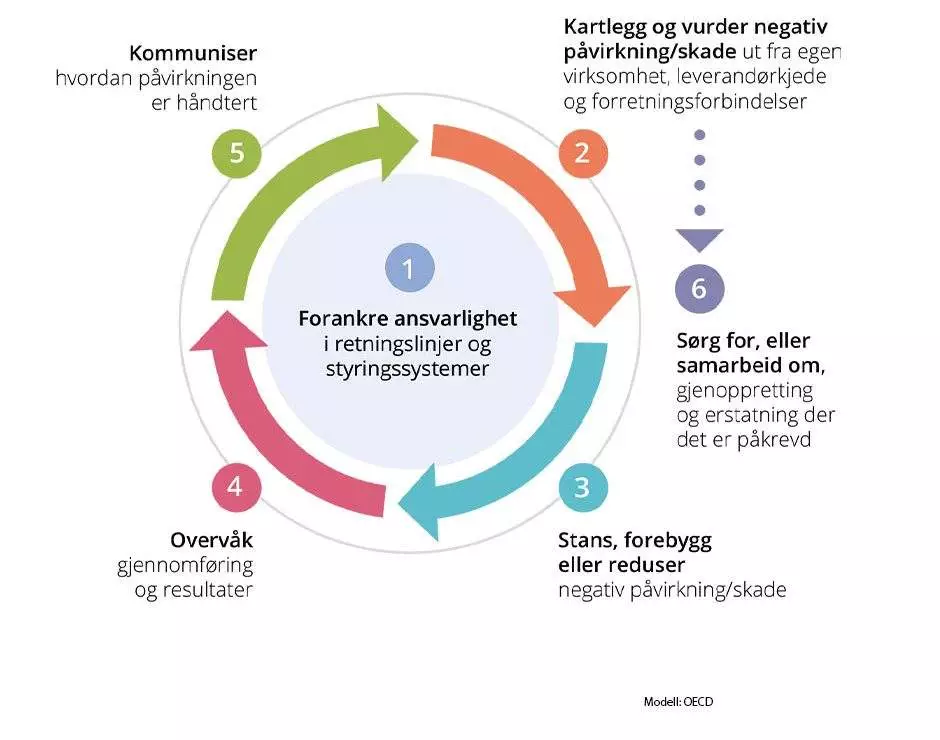 Modell: OECD