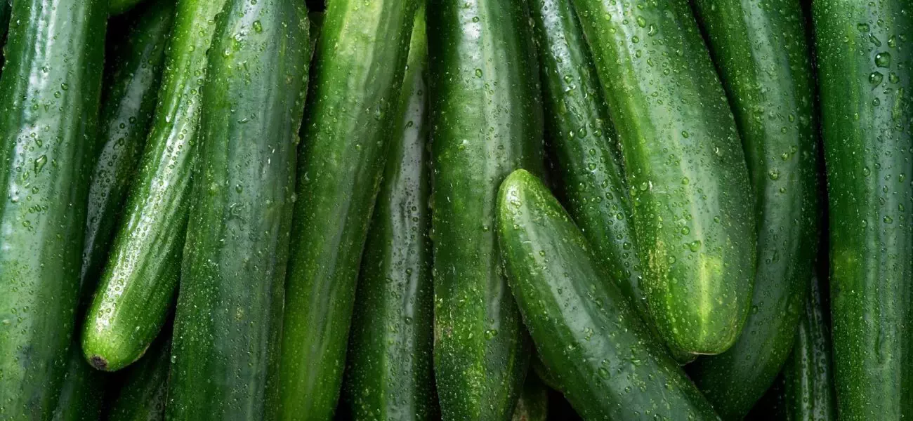 Cucumber Raw fruit and vegetable backgrounds overhead perspective, part of a set collection of healthy organic fresh produce