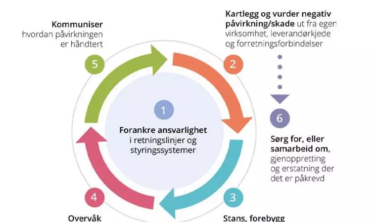 OECD modell