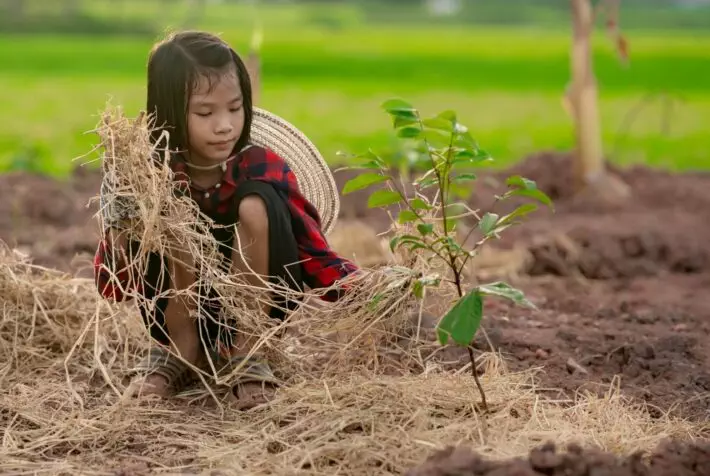 Barnearbeid. Children holding rice straw for planting the tree in organic garden of farm in rural