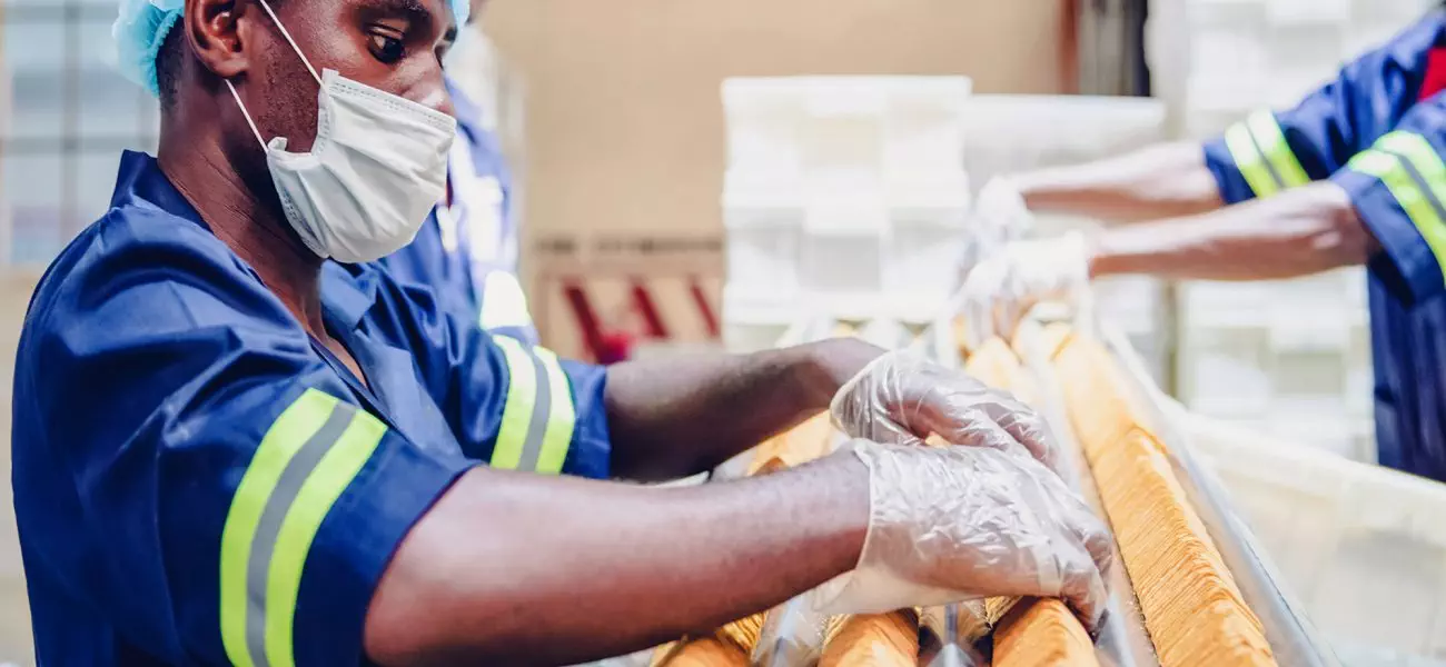 Factory, Manual Worker, Quality Control - Biscuit Factory Workers Stacking Freshly Baked Cookies on the Production Line for Packaging