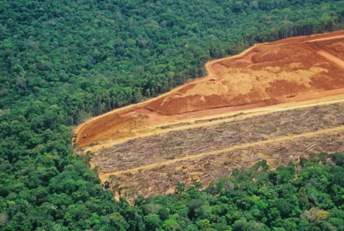 Deforestation in the Amazon