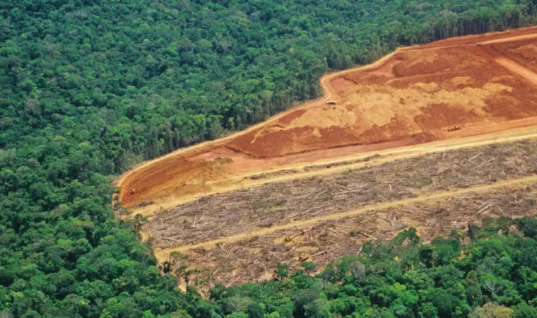 Deforestation in the Amazon