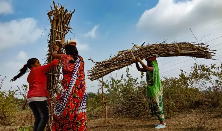 asian village people daily working lifestyle