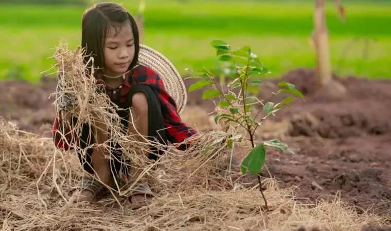 Barnearbeid. Children holding rice straw for planting the tree in organic garden of farm in rural