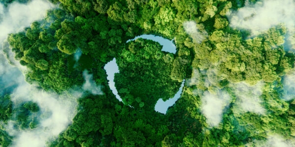 Abstract icon representing the ecological call to recycle and reuse in the form of a pond with a recycling symbol in the middle of a beautiful untouched jungle. 3d rendering.