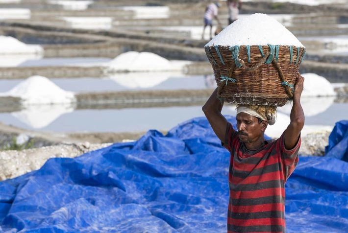 Worker carrying wooden baskets full of salt on the head and walking on salt field to the store.