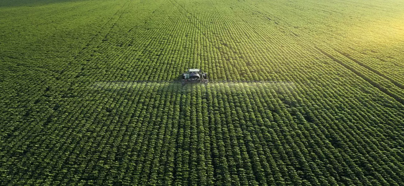 Tracking shot. Drone point of view of a Tractor spraying on a cultivated field. Small Business.